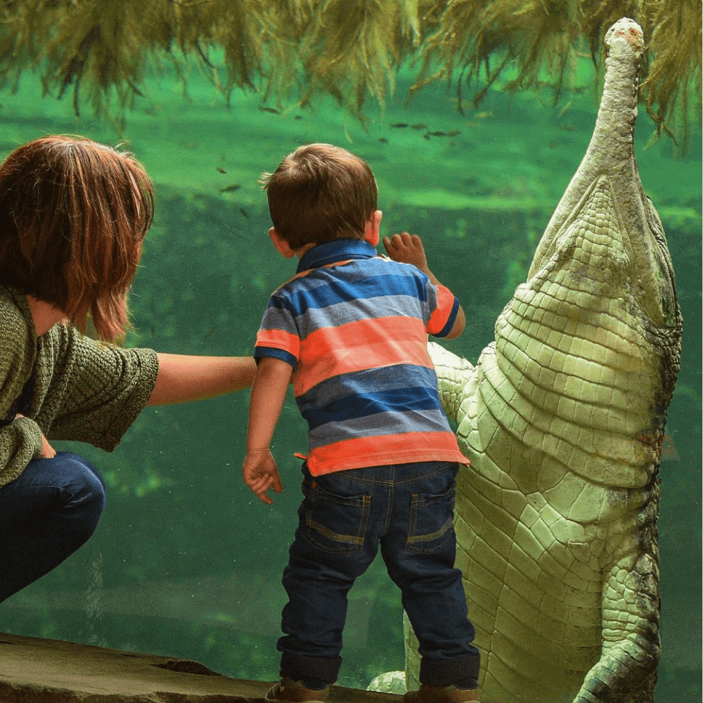 Chester Zoo