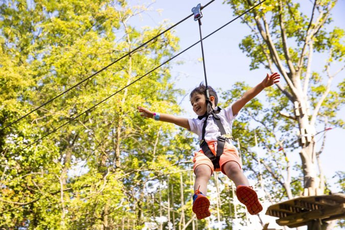 🌲 Go Wild This Summer – Save 15% at Go Ape with Kids Pass!