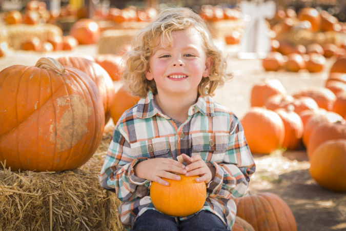 Exciting Pumpkin Festivals in the UK (Autumn 2025)