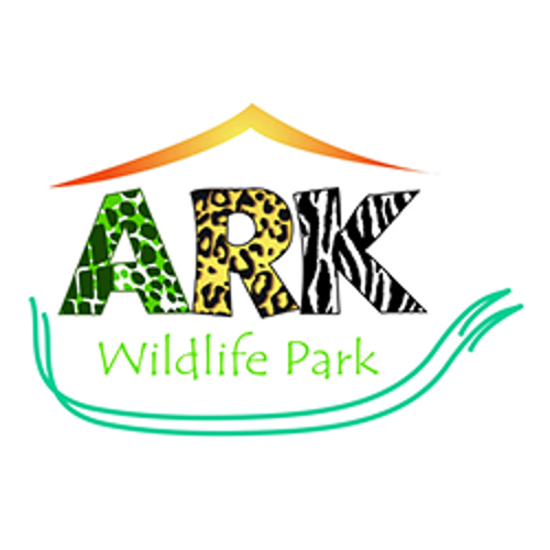 Attraction Logo