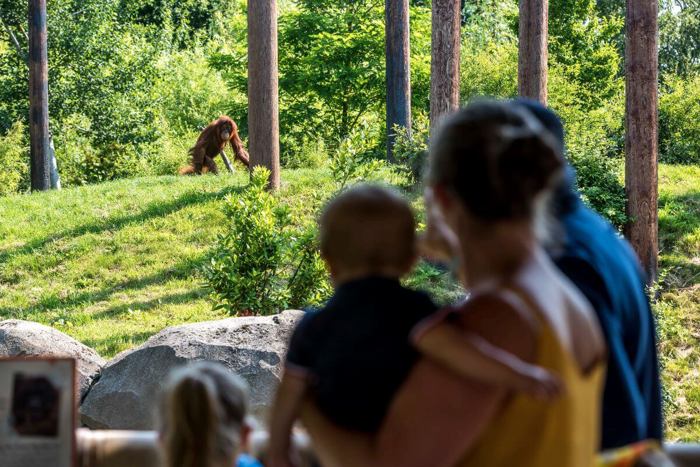 Chester Zoo