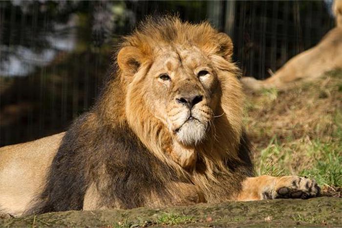 Edinburgh Zoo